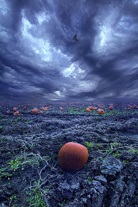 Ask Not When The Thunder Comes by Phil Koch Ask Not When The Thunder Comes by Phil Koch