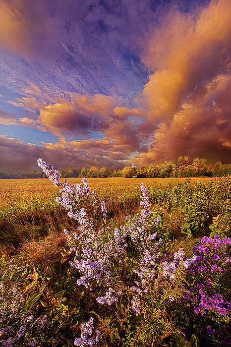 Not Every Journey Has An End by Phil Koch Not Every Journey Has An End by Phil Koch